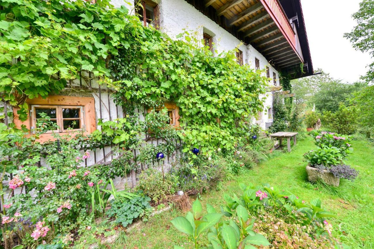Hofatelier Menacher Neureichenau Exterior photo